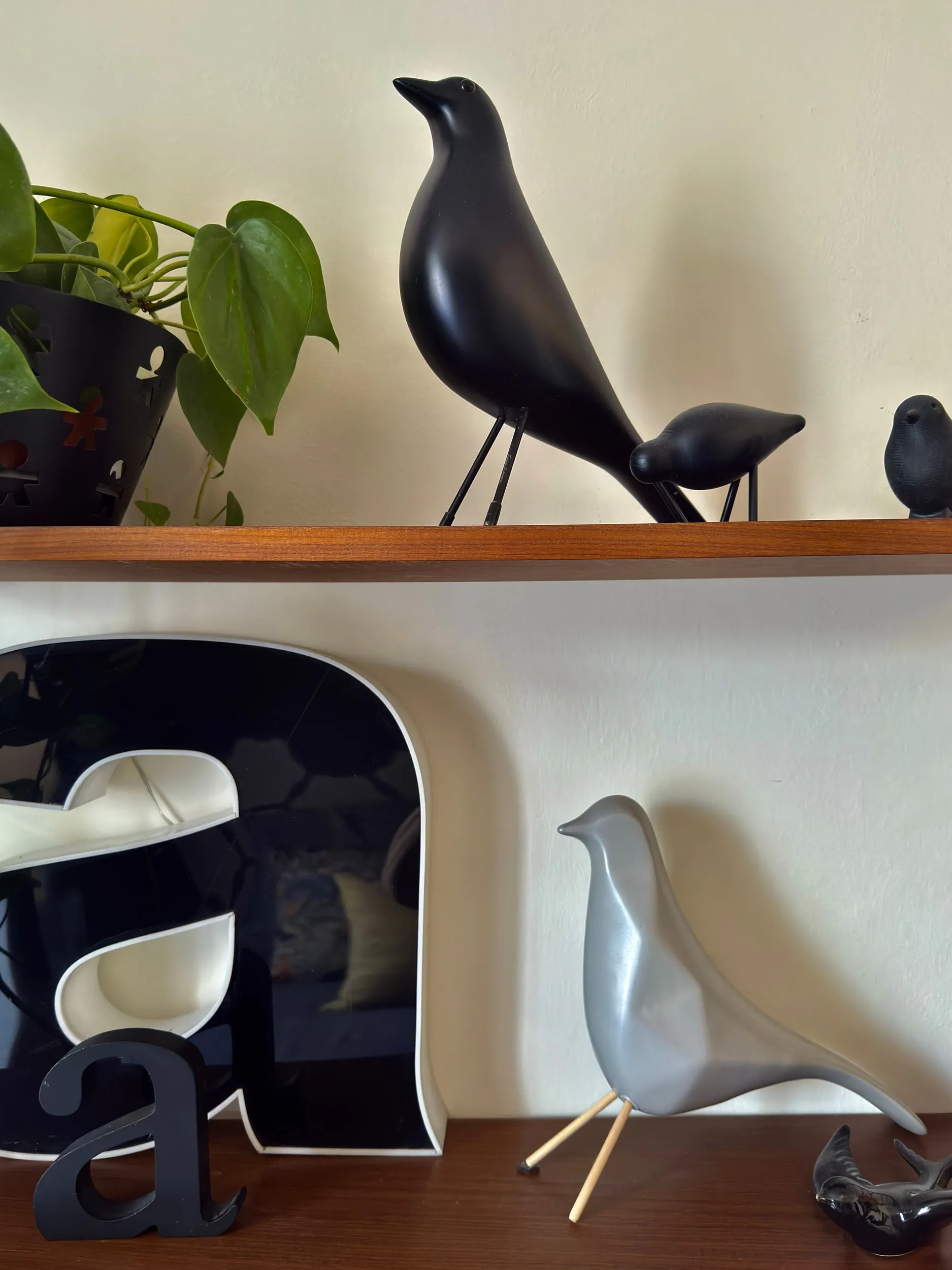 Porta Romana Apartment — fotografia 9