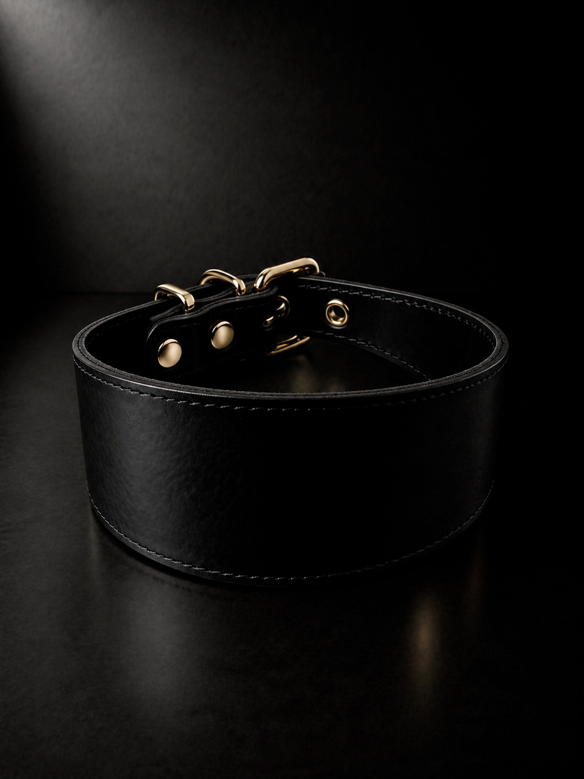 Dorian, a collar made by Florentine leather artisans