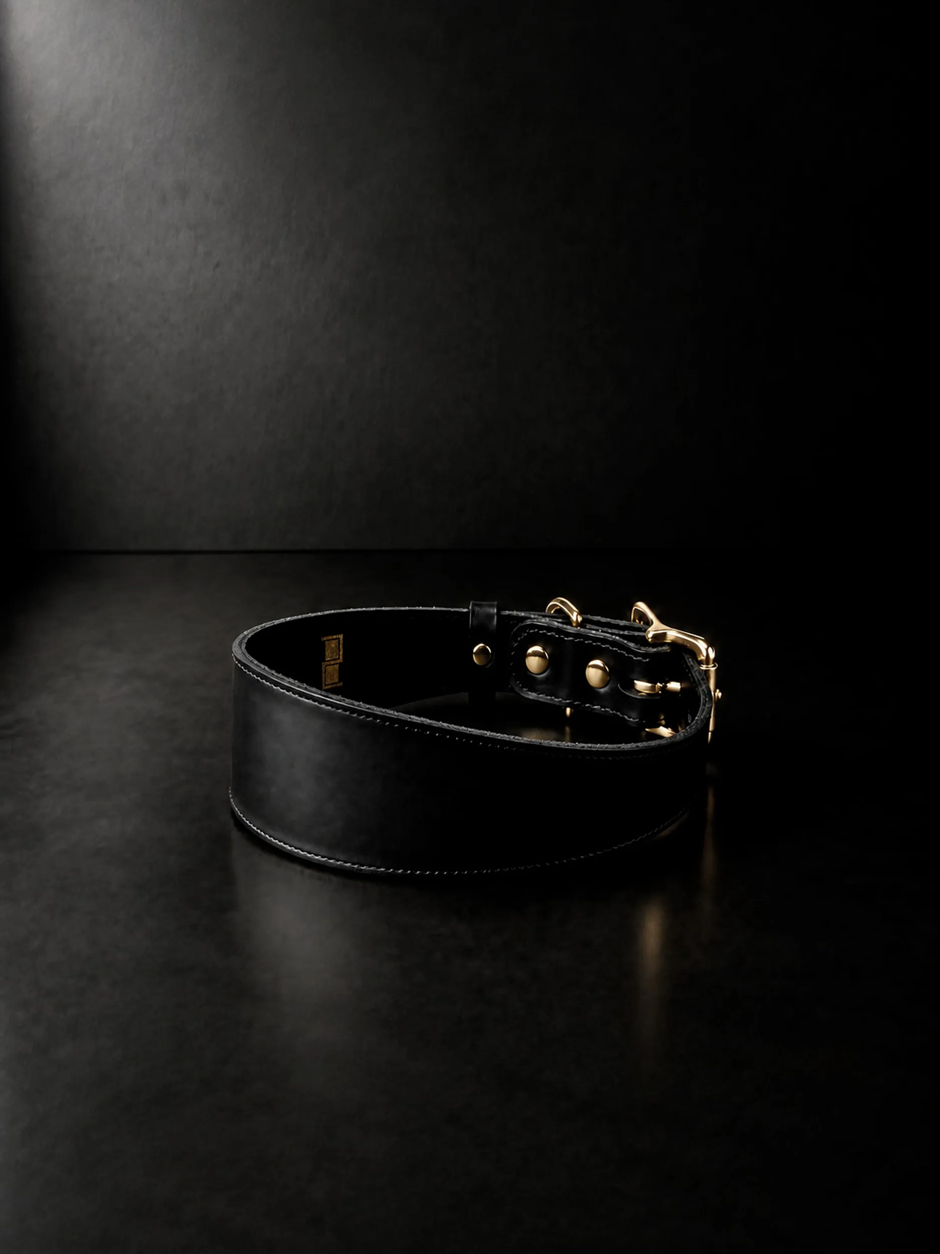 The Dorian collar on a dark floor