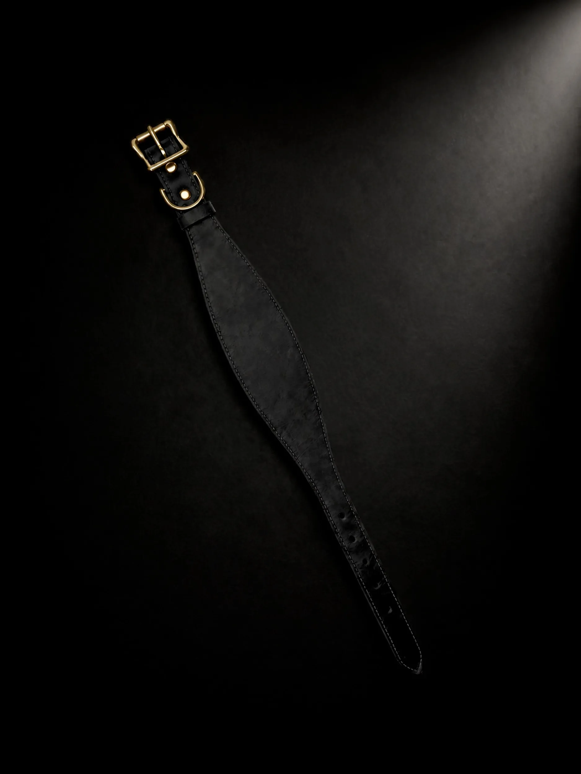The Dorian collar, unbuckled